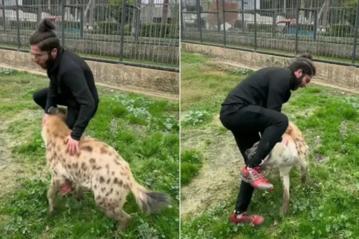 Animal Viral Video
