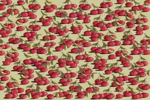 Optical Illusion