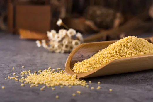 Foxtail Millet