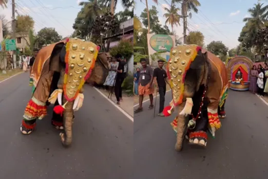 Viral Video