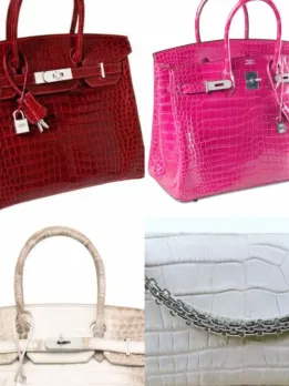 Most expensive Hand Bags in the World
