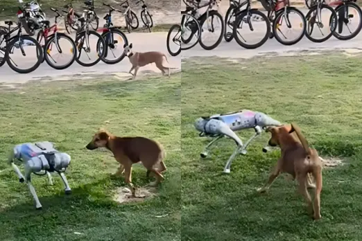 Viral Video
