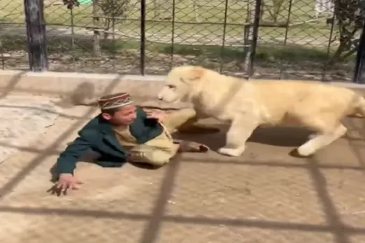Animal Viral Video