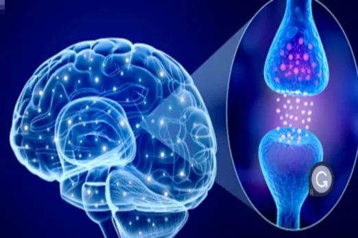 Parkinson's Disease