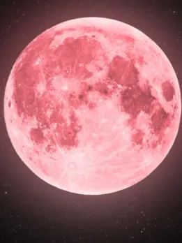 Pink Moon 2024: All You Must know About Chaitra Full Moon