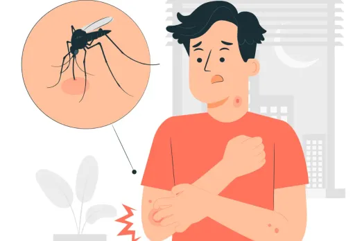 National Dengue Day 2024