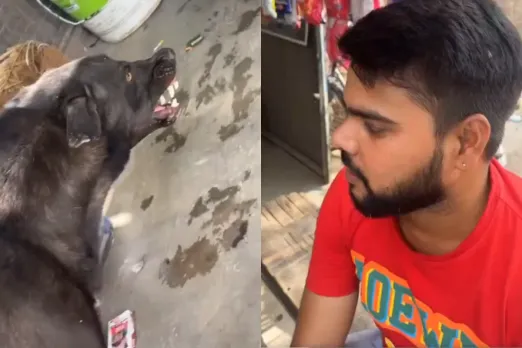 Viral Video