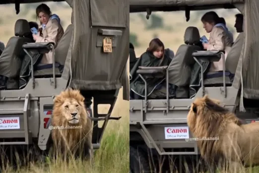 Animal Viral Video