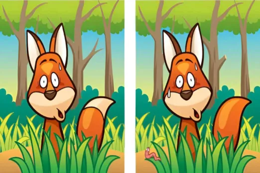 Optical Illusion