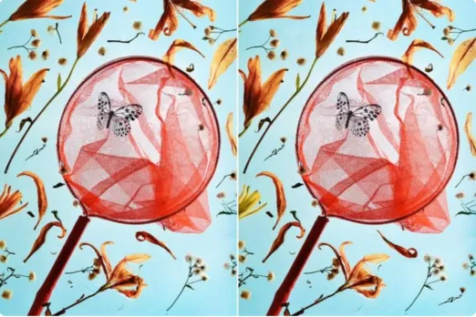 Optical Illusion