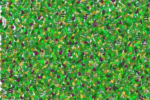 Optical Illusion