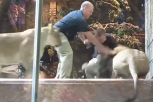 Animal Viral Video