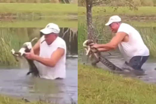 Animal Viral Video