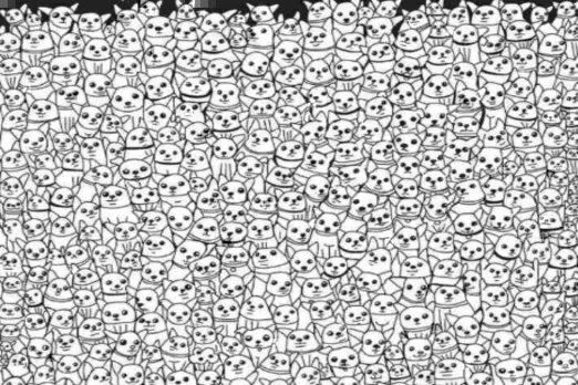 optical illusion
