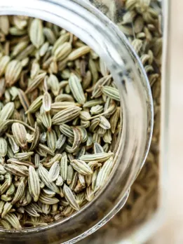 7 Health Benefits of Adding Fennel Seeds (Saunf) to Your Diet
