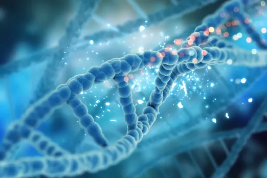 Ancient Indian DNA