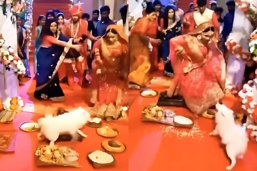 Bride Groom Viral Video