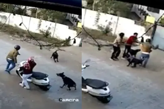 Bhopal Viral Video