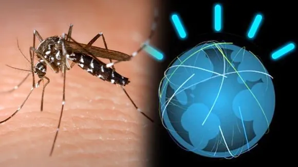 zikavirus