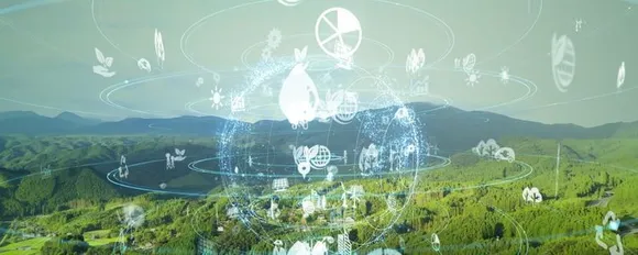 Sustainable Cloud Strategy 