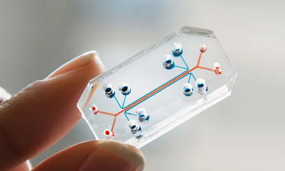 organsonchips