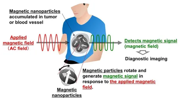 Image Diagnosis