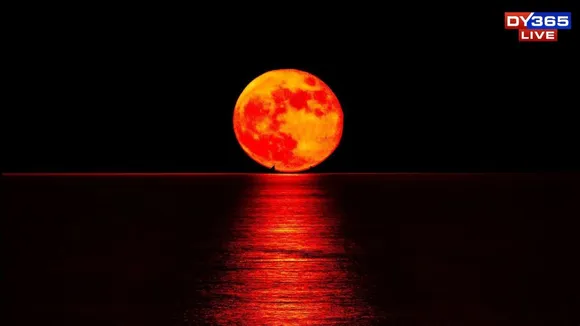 Moon