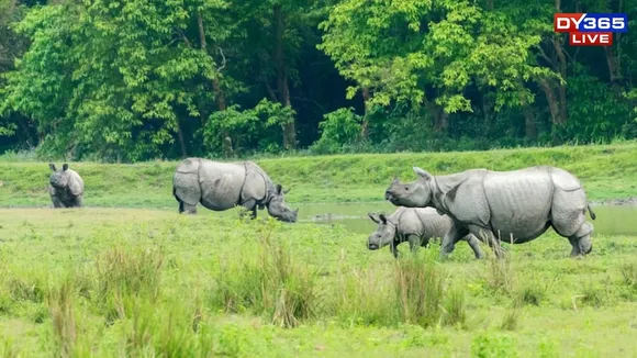 Kaziranga