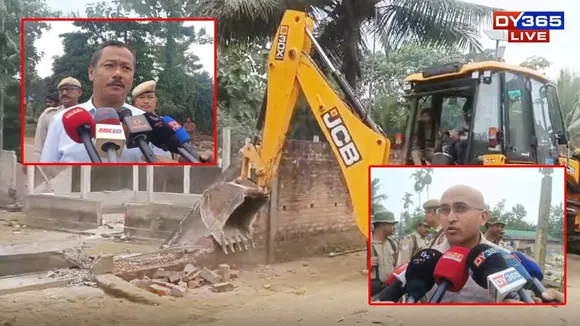 How Far Should We Go to Save the Forests?