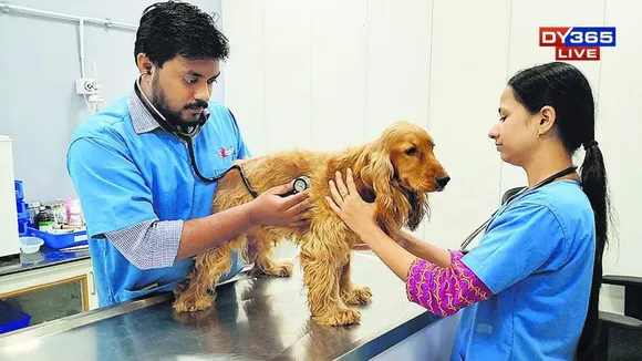 State-of-the-Art Animal Hospital & Rescue Centre to Come Up in Kamrup Metro