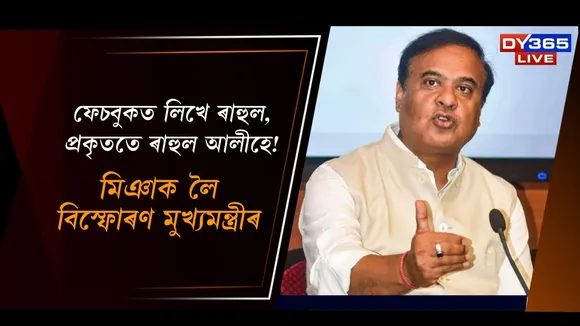 WhatsApp Image 2025-11-19 at 7.43.11 PM