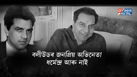 WhatsApp Image 2025-11-24 at 2.35.13 PM