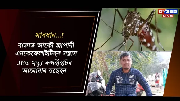 WhatsApp Image 2025-11-28 at 1.31.25 PM