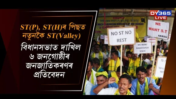 WhatsApp Image 2025-11-29 at 8.58.31 PM