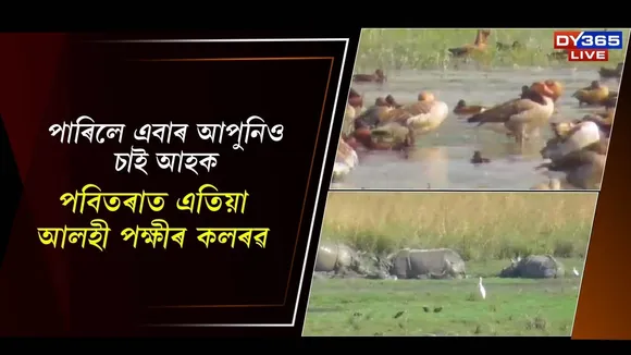 WhatsApp Image 2025-12-07 at 12.01.16 PM