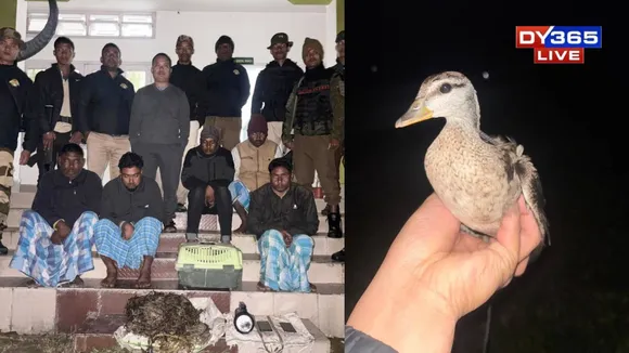 Assam: Cotton Pygmy Goose Saved as Forest Team Nabs Five Hunters at Bholakata Beel