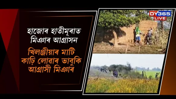 WhatsApp Image 2025-12-13 at 3.15.13 PM