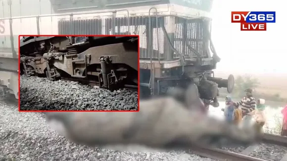 Rajdhani Express derailed after hitting elephant herd in Assam, seven elephants killed
