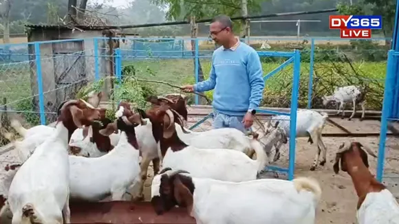 Not Just Farming, but Teaching Futures: A Model Goat Farm in Assam's Kaliabor