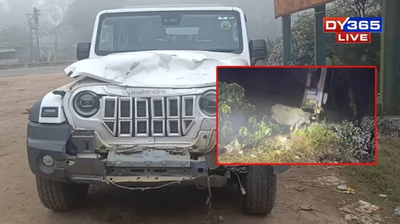 Mariani MLA’s Vehicle Hits Buffalo Herd, One Animal Killed