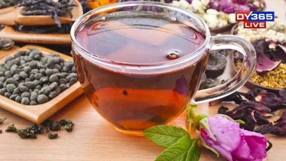 WhatsApp Image 2026-01-16 at 5.24.31 PM