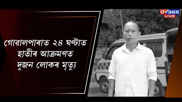 goalpara elephant attack