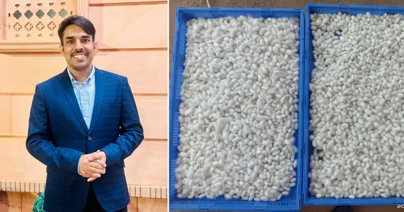 sericulture
