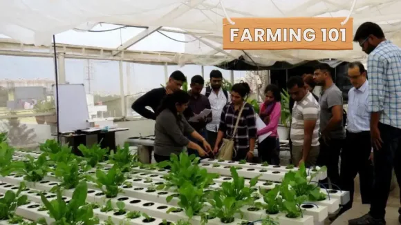 Your home can be a farm too. Aquaponics lets you grow lettuce, tilapia, strawberries — all with less space & water.