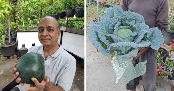 no-soil terrace garden Pune