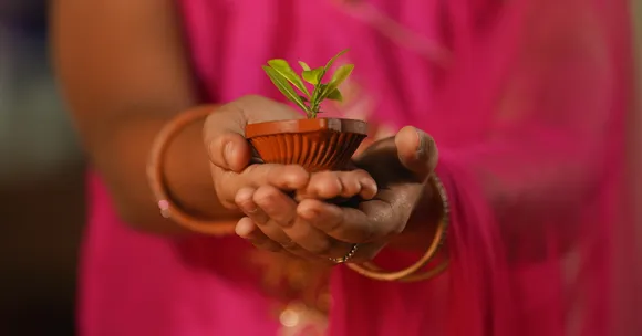 eco-friendly festival celebration