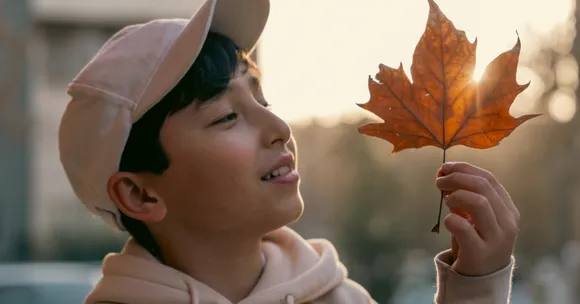 children’s autumn nature projects