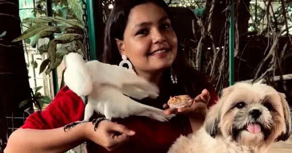 Exotic bird care India