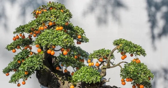 TBI FEATURED IMAGE (6)