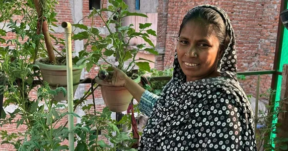 Terrace gardening initiative in New Delhi